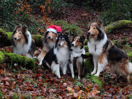 Wir wünschen einen fröhlichen 1. Advent und eine schöne Adventszeit! :)