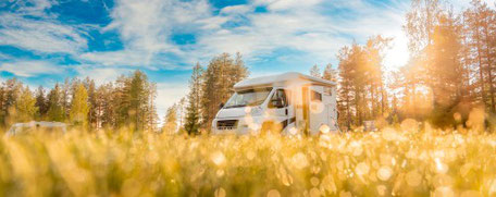 Wohnmobil auf sonniger Wiese 2025