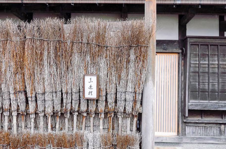 素透撫