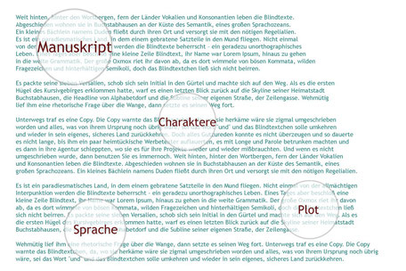 Die Textmamsell: Text, darüber Keywords mit Lupenfunktion hervorgehoben, symbolisch für Manuskript-Begutachtung