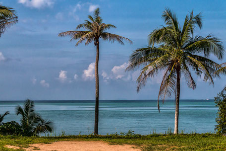 blick-auf-palmen-und-meer-wok-tum-koh-phangan