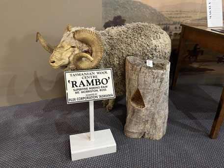 Tasmanische Woll-Zentrum Museum