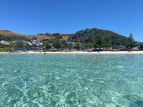 Boat Harbour Beach Tasmanien - einer der schönsten Strände in Tasmanien