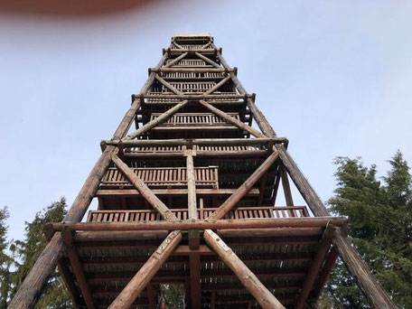 Ebersnackenturm  in Niedersachsen - Eine besondere Herausforderung für uns ist die originalgetreue Sanierung der alten Bauwerke aus Holz. 