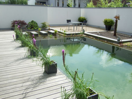 GEstaltung mit Wasser