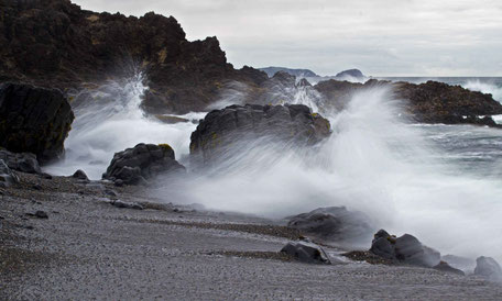 Excursion to peninsula Lacuy