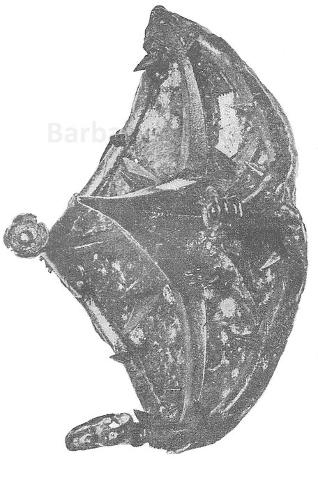 Fig. 1.