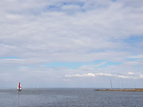 XCAT-Segelkatamaran | Schmetterlingssegeln vor dem Wind im Wattenmeer bei Sylt