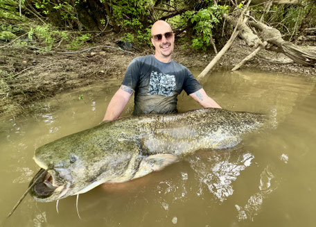 Unsere Idee ist Welse auf dem groß angelegten Futterteppich mit Welsboilies von Catbaits schneller in den Bereich um den Haken zu bekommen.