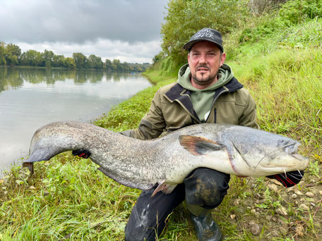 Pelagisches Welsguiding in Deutschland am Rhein und Neckar mit Angelguide Peter Merkel