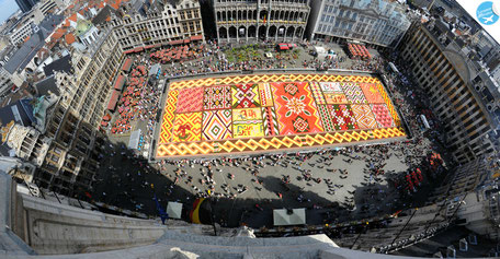 Brussels' Flower Carpet 2012  ©European Consumers Choice