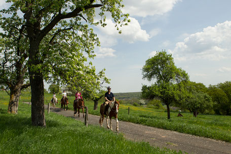 Reiten im Frühjahr in der Eifel