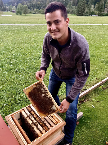 Carnica-Königinnen Belegstelle Valentinalm im Bezirk Hermagor