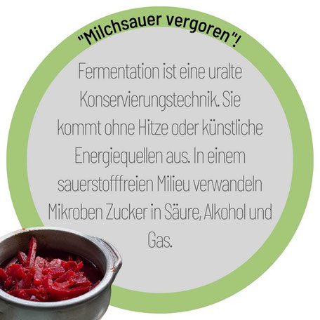 Infobox säure Gürkchen im Glas alles über Fermentation TCM