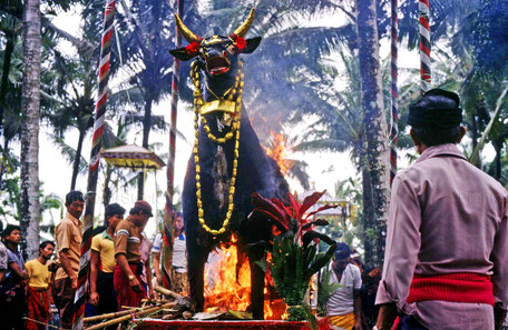 Totenverbrennung auf Bali - INDONESIEN