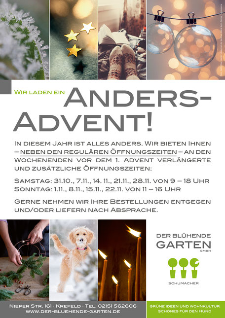 Winterzeit und Advent – Ausstellungen im "Der blühende Garten" und Hundeshop "Schönes Hundeleben"