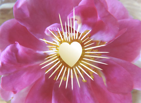 Selbstfürsorge, Resilienz, Selbstliebe, Retreat, Spiritualität, Bewusstsein, Weg des Herzens, Stimme des Herzens, Seminar, Landrasthaus, Maria Bild, Südburgenland, flyingheart, Kurzurlaub