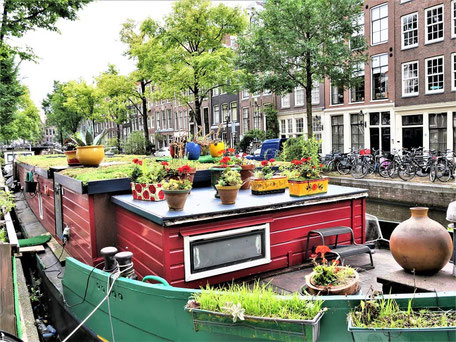 Amsterdam Reisetipps: Wohnen auf dem Hausboot in der Bloemgracht