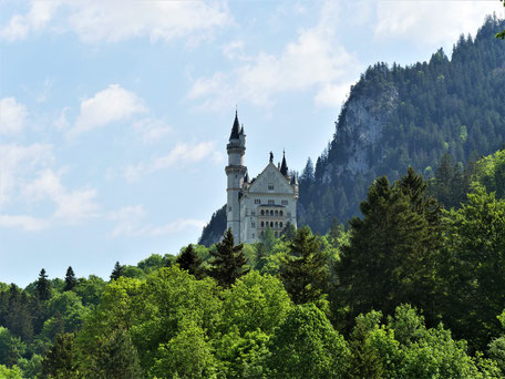 Ausflug Schloss Neuschwanstein Fotospots vom Parkplatz