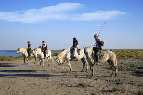 Camargue Geheimtipps & Tipps: Ausritt durch die Camargue