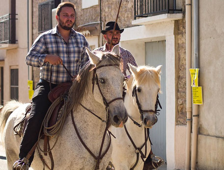Camargue Geheimtipps & Tipps: Ausritt durch die Camargue