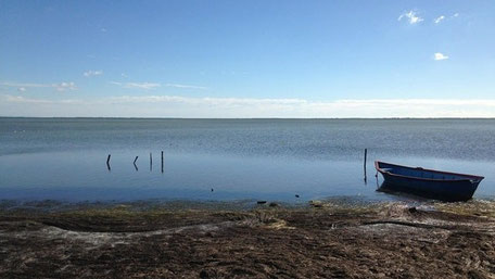 Camargue Geheimtipps & Tipps: Einsamer Strand in der Camargue
