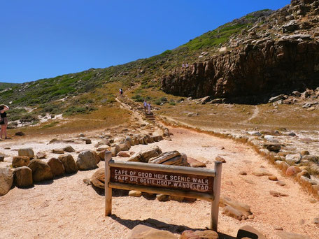 Kap der guten Hoffnung Ausflug: Scenic Walk, steiler Aufstieg zum Kap