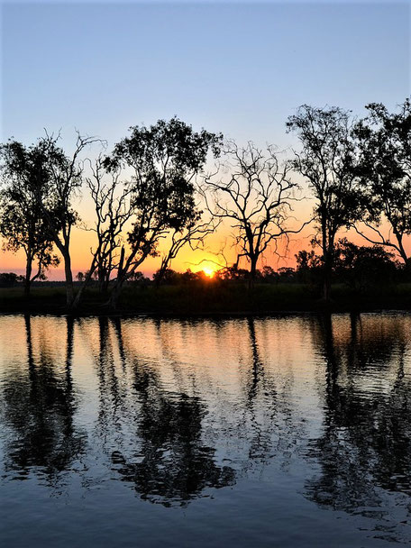 Kakadu Nationalpark Australien: Sonnenaufgang am Billabong