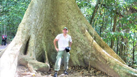 Taman Negara Nationalpark: Wandern unter Baumriesen