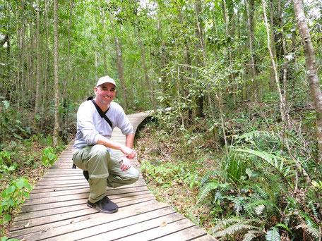 Garden Route Kapstadt Rundreise: Wandern durch den Urwald im Nationalpark