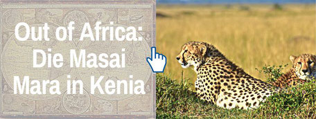 Reiseblog Der Travel Bloke Fernreisen: Masai Mara Kenia