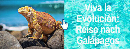 Der Travel Bloke Reiseblog Reiseinspiration: Viva la Evolucion Eine Reise nach Galapagos