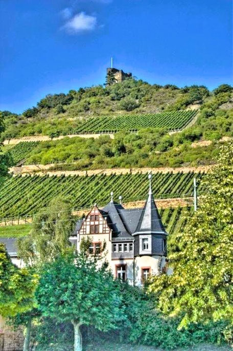 Rheingau Hotels & Unterkünfte: © Burghotel Lorch