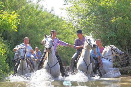 Camargue Urlaub Frankreich: Reiterromantik in der Camargue