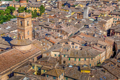 Siena Tipps: Über den Dächern der Altstadt