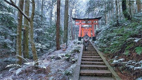 Kyoto Geheimtipps: Der Weg ist das Ziel