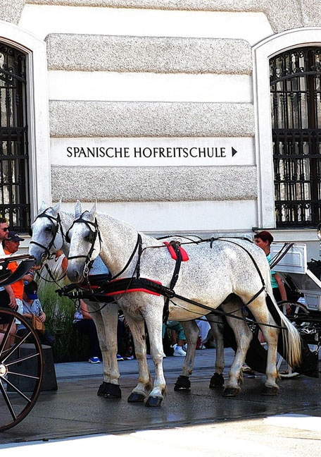 Sissi in Wien: Sehenswürdigkeiten & Orte: Spanische Hofreitschule
