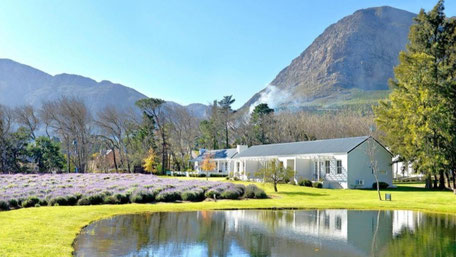 Südafrika Weingut Übernachtung: © Lavender Farm Boutique Guest House
