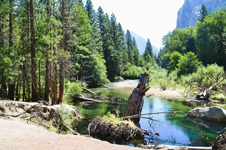 Rundreise Kalifornien Reiseroute: Wandern im Sequoia Nationalpark