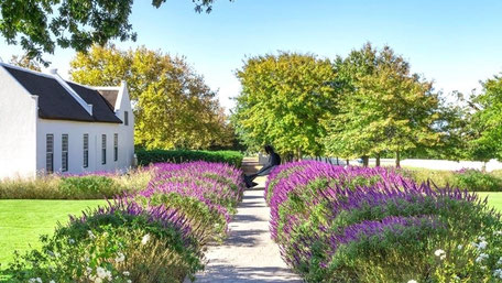 Weingüter Kapstadt: © Steenberg Hotel & Spa