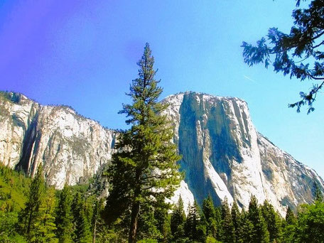 Reiseroute Kalifornien Rundreise: Yosemite Nationalpark