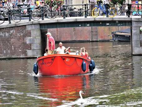 Amsterdam Reisetipps & Geheimtipps: Wettrennen mit Schwan...