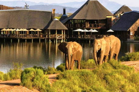 Garden Route Safari Lodge Empfehlungen: © Buffeldrift Game Lodge