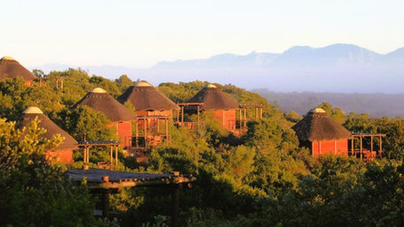 Garden Route Safari Lodge Empfehlungen: © Garden Route Game Lodge