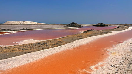 Camargue Geheimtipps & Tipps: Rosa Salzteiche von Salin de Giraud