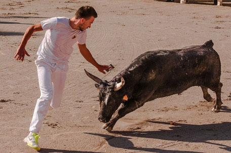 Camargue Geheimtipps & Tipps: Rasateur beim Stierkampf à la Camargue