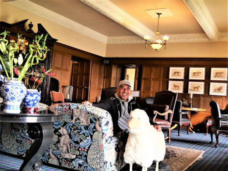 Schottland Castle Unterkunft: Blogger meets Schaf