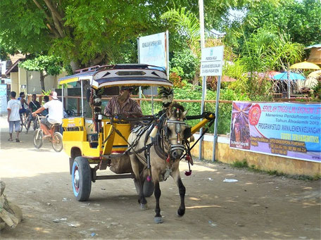 Trinkgeld Indonesien & Bali: Im Pferde Taxi auf den Gili Inseln