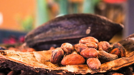 Orlando Tipps: Von der Kakaobohne zur Schokitafel 