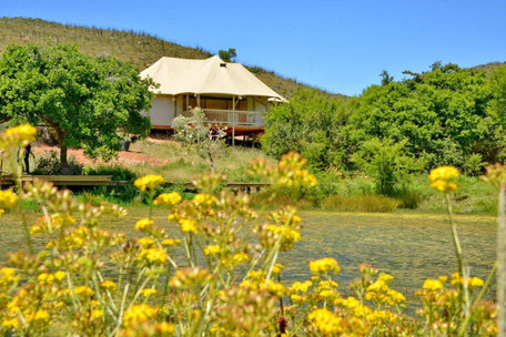 Garden Route Safari Camp Tipps: © Garden Route Safari Camp